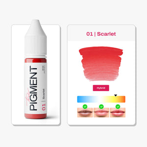 01 Scarlet - 15ml